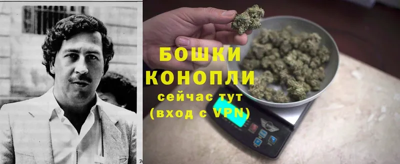 OMG как зайти  Конаково  Конопля план 